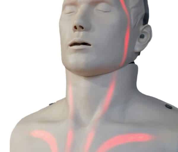 MANNEQUIN LED BRAYDEN TORSE ADULTE