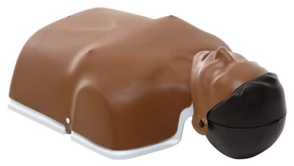 NEW LITTLE ANNE QCPR – Image 2