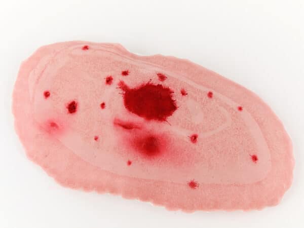 POLYCRIBLAGE